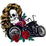 Adesivo de caveira de Harley Davidson