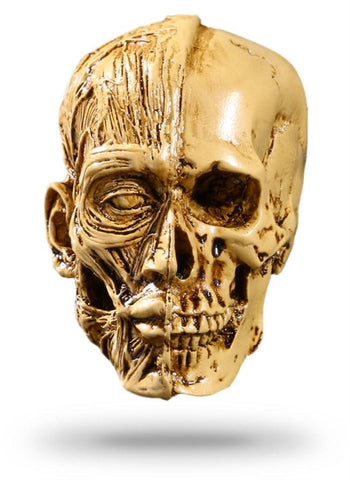 Halloween Deco Skull