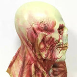Máscara assustadora de Halloween