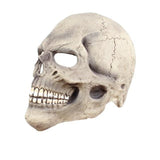 Máscara de Halloween <br/> Rosto