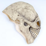 Máscara de Halloween <br/> Rosto