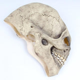 Máscara de Halloween <br/> Rosto